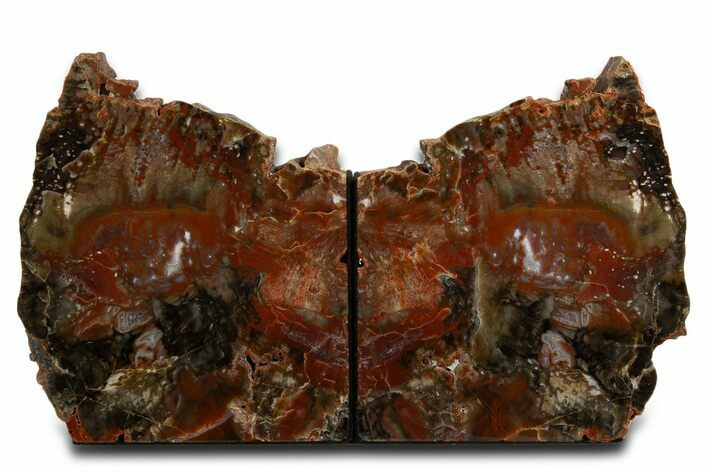 Tall Colorful Arizona Petrified Wood Bookends #338261